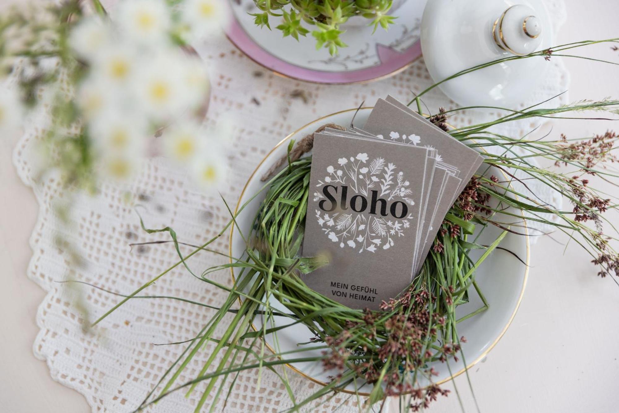 Sloho Bergurlaub Apartment Hohentauern Ngoại thất bức ảnh